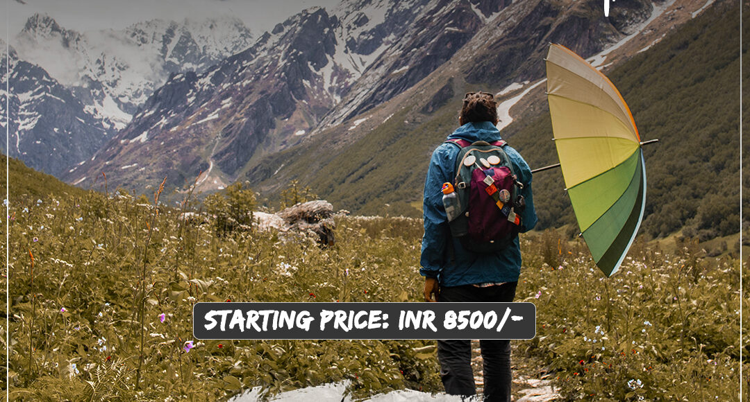 Valley of flowers trek