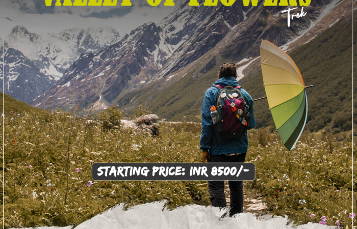 Valley of flowers trek