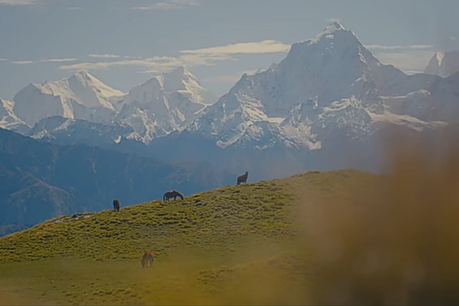 Views from Rudranath