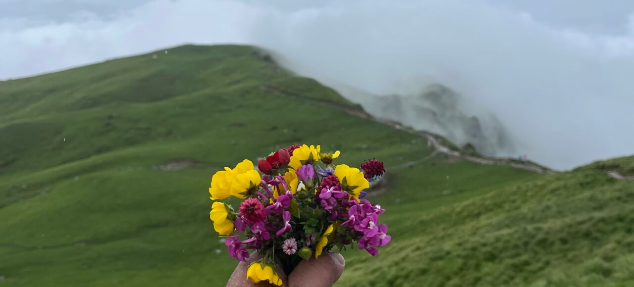 Rudranath trek package
