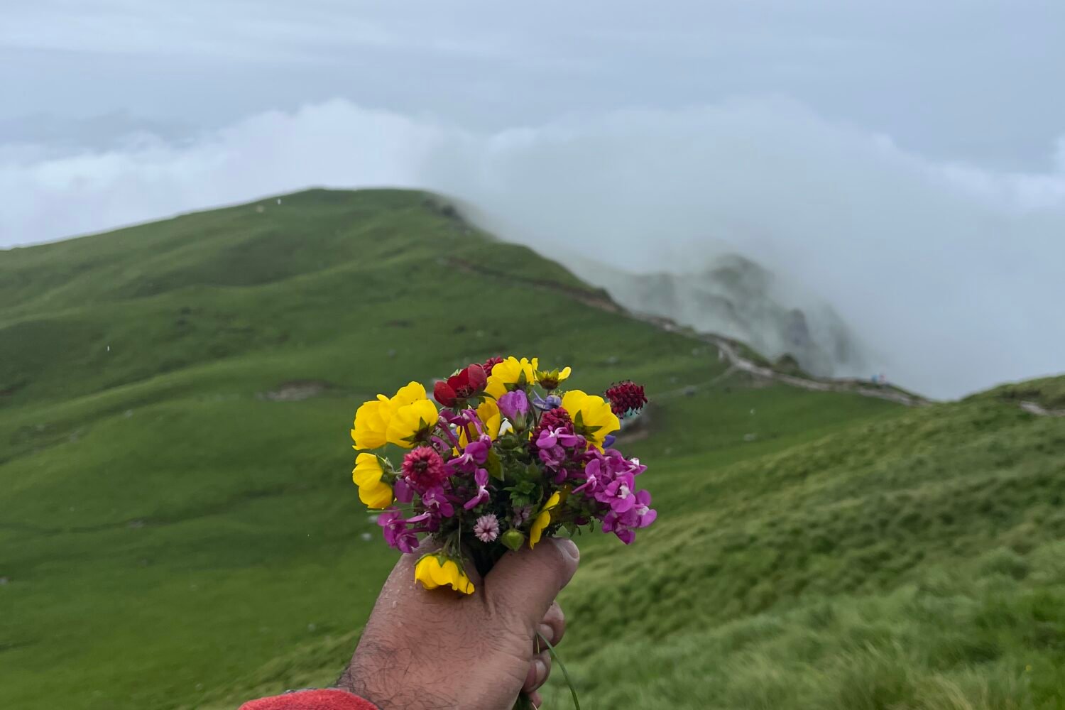 rudranath yatra details Rudranath trek package