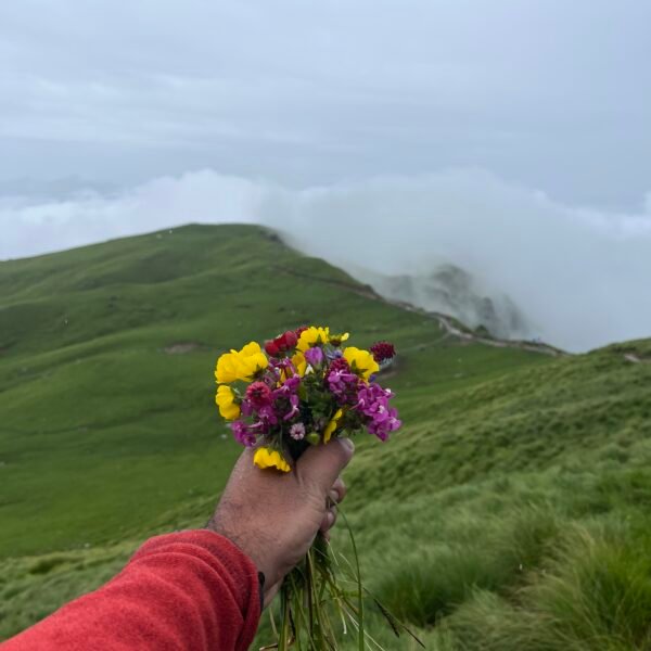 Rudranath trek package