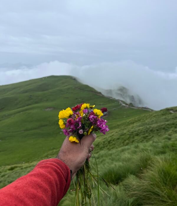 Rudranath trek package