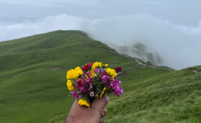Rudranath trek package