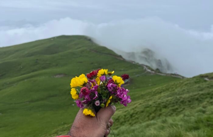 Rudranath trek package