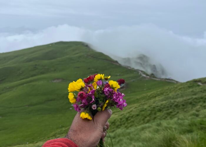 Rudranath trek package