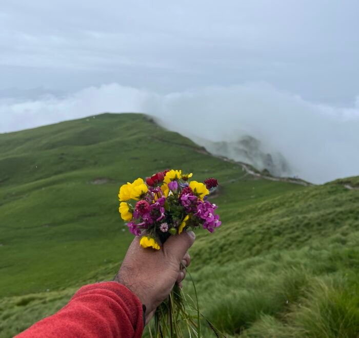 Rudranath trek package
