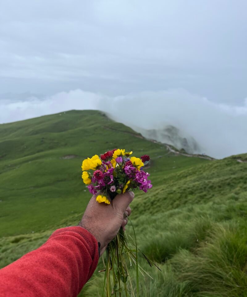 Rudranath trek package