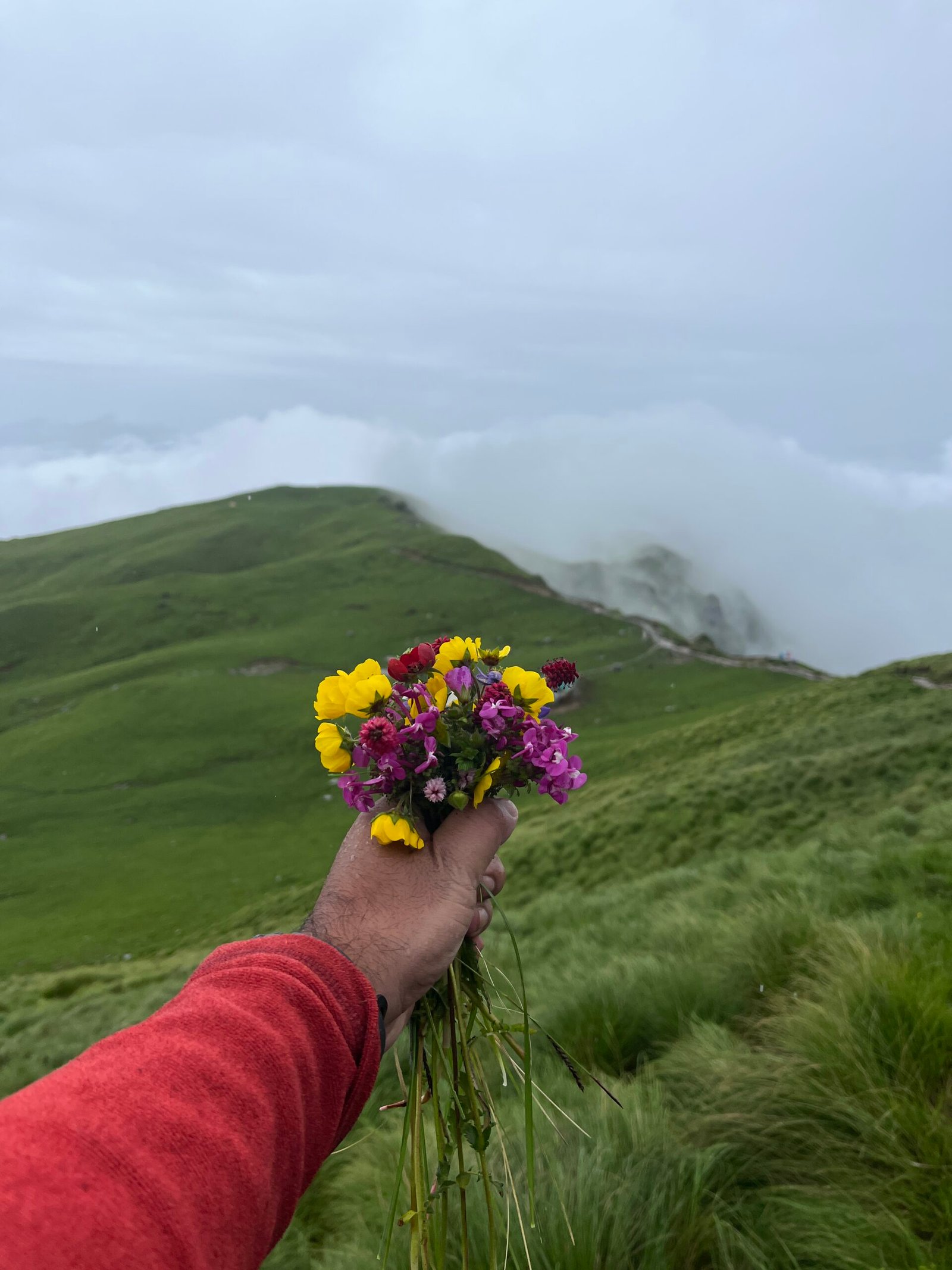 Rudranath trek package