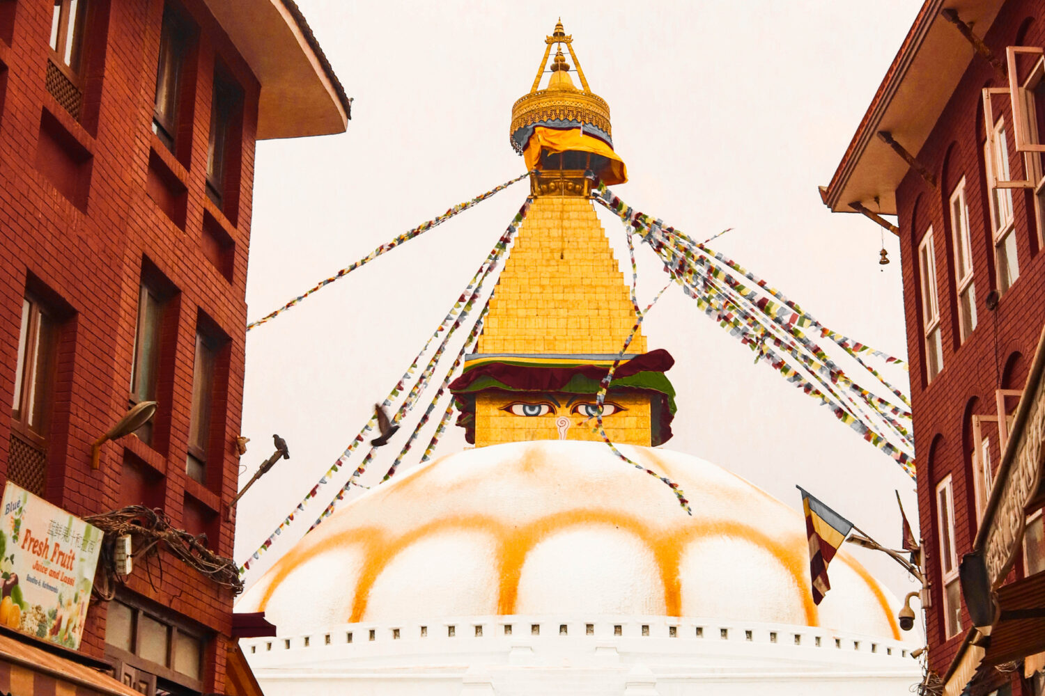 Bodhanath stupa photo
