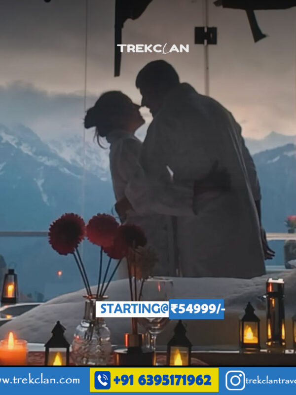 Manali Jibhi Honeymoon Tour Package